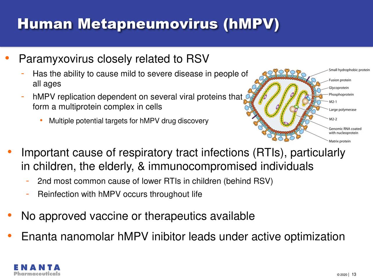 Metapneumovirus human electron figure cdc rhesus mk2 supernatant kidney monkey micrograph collected llc cell respiratory severe syndrome acute detection patients