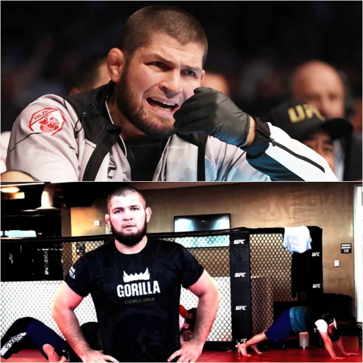 Khabib removed from plane